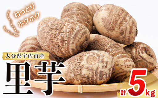 [先行予約受付中!10月中旬以降順次発送予定]里芋 (計5kg) さといも いも 野菜[118500500][両院農産]