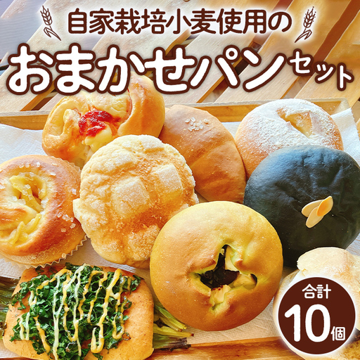 おまかせパンセット(合計10個) パン 朝ごはん 朝食 おやつ 食べ比べ お楽しみ 詰合せ ふすま【119600200】【黒川さんちのパン】
