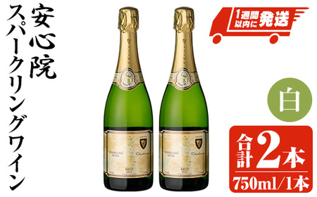 安心院スパークリングワイン 白(計1.5L・750ml×2本)酒 お酒 ワイン 白ワイン スパークリングワイン ぶどう 葡萄[107302602][時枝酒店]