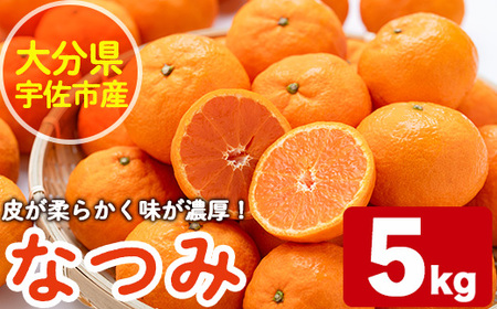 なつみ(約5kg)ハウス 樹成 完熟 みかん 蜜柑 柑橘 かんきつ フルーツ 果物 くだもの【111600200】【永木農園】