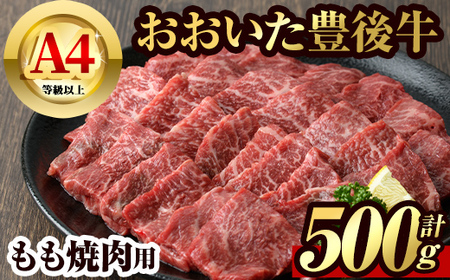 L㋍  ē(500g)   Ă o[xL[ BBQ Zbg Ⓚ Y 啪Yy106401200zy܂ЂŁz