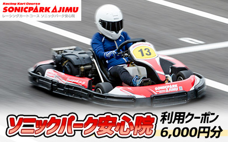 ソニックパーク安心院利用クーポン(6,000円分)クーポン 体験 アウトドア レーシング場 レーシングコース[106500100][ガリレオレーシング]
