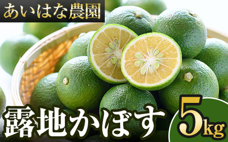 s\tI2025N8{`2026N2{돇\聄InJ{X(5kg)ڂ J{X k Yi 啪Yy107100401zy͂Ȕ_z
