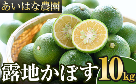 s\tI2025N8{`2026N2{돇\聄InJ{X(10kg)ڂ J{X k Yi 啪Yy107100801zy͂Ȕ_z