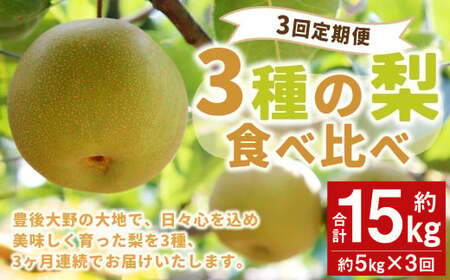 [先行予約][3回定期便] 3種の梨 食べ比べ 定期便 合計 約15kg[2024年9月上旬発送予定]