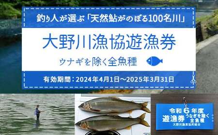 大野川漁協遊漁券 ウナギを除く全魚種