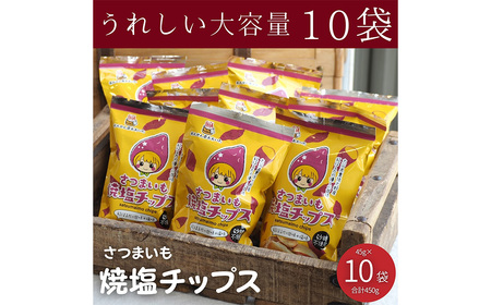 大分県産 さつまいも 焼塩 チップス 45g×10袋 芋 いも スナック お菓子 おやつ 紅はるか