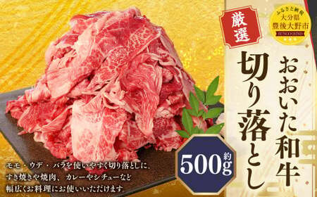 おおいた和牛 切り落とし(500g)厳選 国産 和牛 肉 牛肉 冷凍 肉じゃが 牛丼 焼肉 カレー シチュー 炒め物