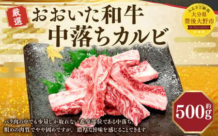 おおいた和牛 中落ちカルビ(500g)和牛 カルビ 牛肉 冷凍 肉 焼肉 鉄板焼 BBQ バーベキュー お取り寄せ グルメ