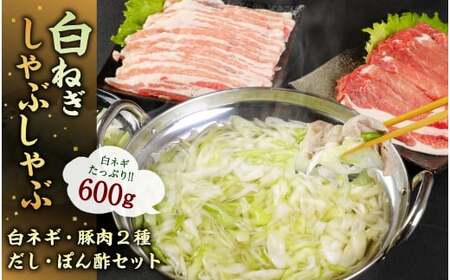 大分県産 白ネギ しゃぶしゃぶ セット 計1.1kg [2024年9月上旬から2025年3月下旬発送予定]長ねぎ 長ネギ 白ネギ 白ねぎ ネギ ねぎ 葱 白葱 ねぎしゃぶ