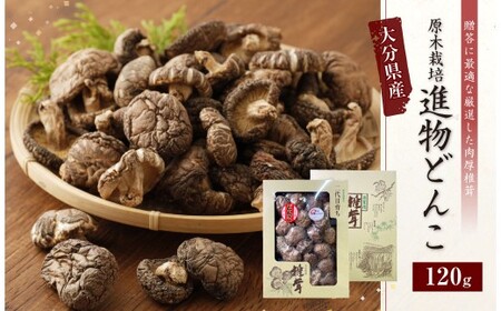 015-692x1 啪Y ő i ǂ 120g ő ̂ 