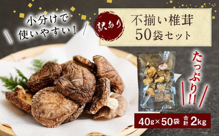 015-963x1 s ő 50܃Zbg 40g×50 v2kg ő   Mtg