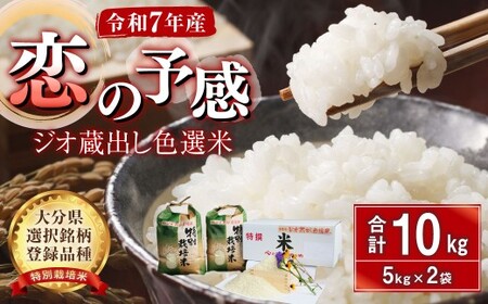 036-1254x2 �W�I���o���F�I�� ���ʍ͔|�� 10kg (5kg×2��) �ߘa7�N�Y �啪�� �L����s�Y �啪���I������o�^�i�� �u���̗\���v �� ����