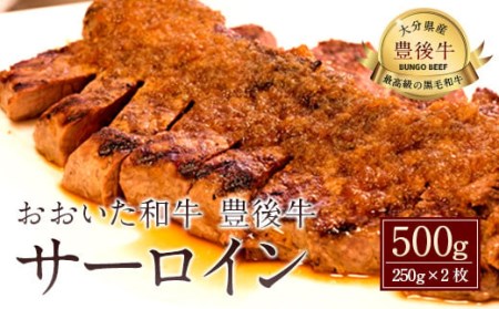 おおいた和牛 豊後牛 サーロイン 250g×2枚 計500g 牛肉 ステーキ