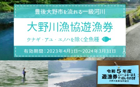 024-260 大野川漁協遊漁券 ウナギ・アユ・エノハを除く全魚種