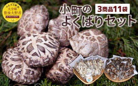 小町のよくばりセット (どんこ乾椎茸 45g×6パック 、スライス乾椎茸 30g×4パック 、なしこのなばこ 45g×1本)