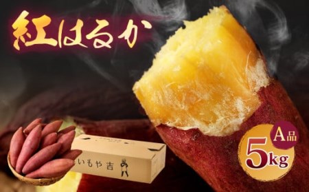 098-866 【2023年12月上旬以降順次発送予定】 紅はるか 5kg 甘藷 べにはるか さつまいも サツマイモ 豊後大野市産