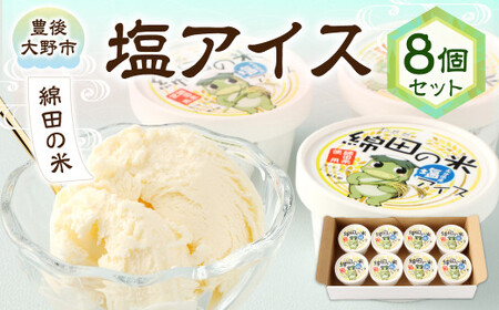 綿田の米 塩アイス 8個 セット アイス アイスクリーム デザート お米アイス