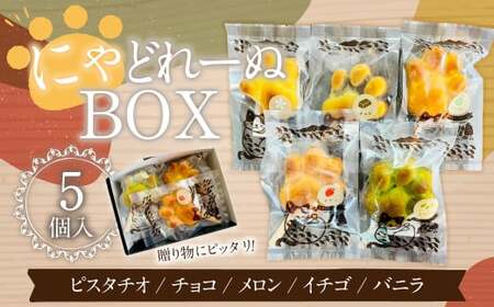 にゃどれーぬBOX お菓子 マドレーヌ 焼菓子 詰め合わせ 5種類 各1個 セット