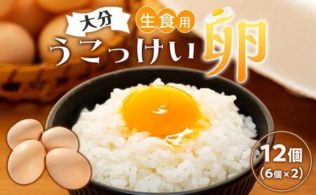 大分うこっけい卵 生食用12個(6個×2パック)[お試しサイズ/使い切りにぴったり!] | 卵 烏骨鶏