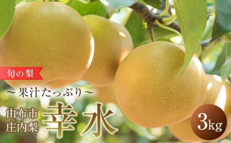 旬の梨 幸水 3kg 庄内梨 大塚梨園[2025年8月中旬以降発送] | 幸水