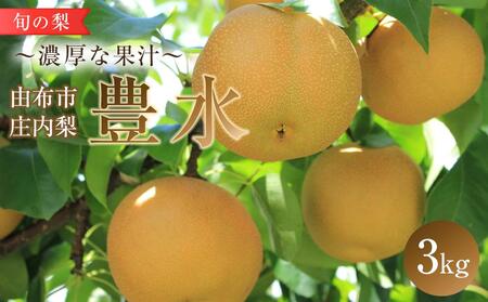 旬の梨 豊水 3kg 庄内梨 大塚梨園[2025年8月下旬以降発送] | 梨