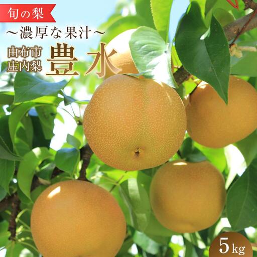 旬の梨 豊水 5kg 庄内梨 大塚梨園＜2025年8月下旬以降発送＞ | 豊水