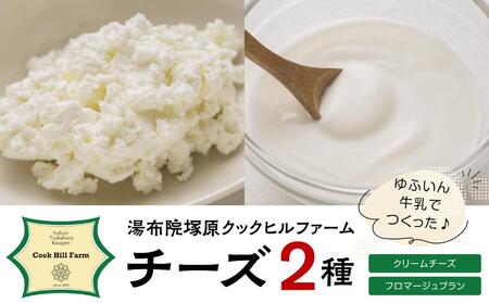 ゆふいん牛乳でつくった 特選 無添加 チーズ 2種類(クリームチーズ・フロマージュブラン)セット[湯布院クックヒルファームからお届け]