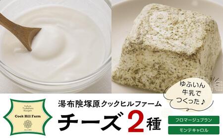 ゆふいん牛乳でつくった 特選 無添加 チーズ 2種類(フロマージュブラン・モンテキャロル)セット[湯布院クックヒルファームからお届け]