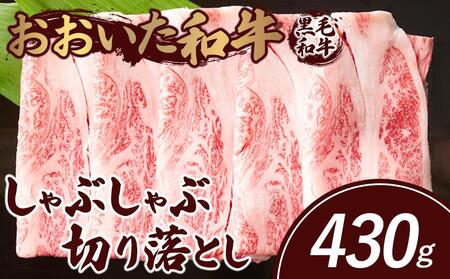 a Ԃ ؂藎Ƃ 430g