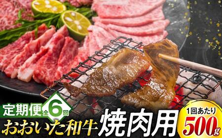 【定期便 全6回】おおいた和牛 焼肉用 500g