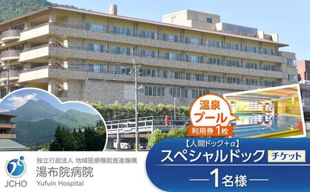 湯布院病院 スペシャルドック(人間ドック+α) チケット 1名様分・温泉プール利用券 1枚