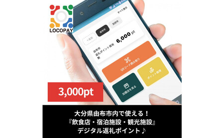 RzsŎgfW^ԗ|Cg_LOCOPAY3,000|Cg