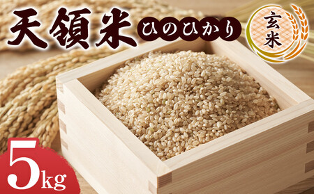 V̕āiЂ̂ЂFāj 5kg