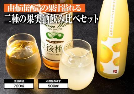 [小野酒造]果実酒 2種 計2本 飲み比べセット(豊後梅酒720ml・小野屋のゆず500ml)