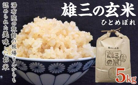 yāzz@̗ق̔ꂳ񂩂F߂ꂽāiYǑāj5kg