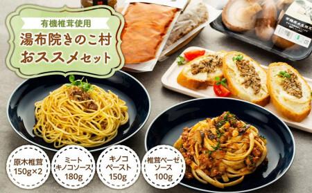 湯布院[有機原木椎茸使用]「湯布院きのこ村」おススメセット