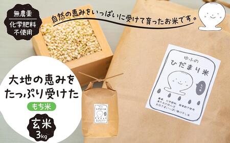[無農薬・化学肥料不使用]大地の恵みをたっぷり受けた もち米(玄米)3kg
