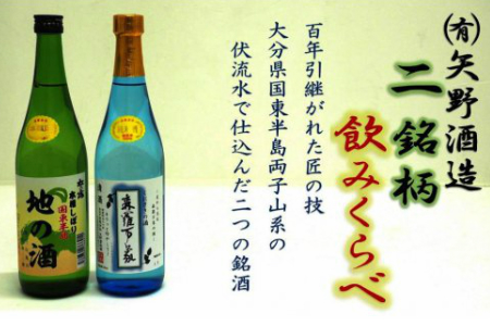 矢野酒造銘酒詰合せ/森羅万象,地の酒を各1本 _1111R
