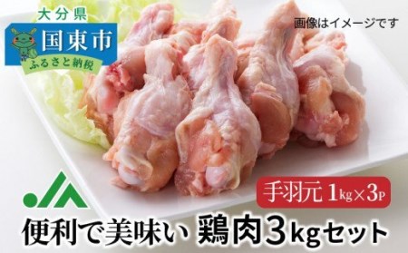 1117R_[9月30日で受付終了]便利で美味い鶏肉3kgセット/手羽元1kg×3P 鶏肉 とりにく 鳥肉 とり肉 トリニク トリ肉 鶏肉 鶏肉 鶏肉 鶏肉 鶏肉 鶏肉 鶏肉 鶏肉 鶏肉 鶏肉 鶏肉 鶏肉 鶏肉 鶏肉 鶏肉 鶏肉 鶏肉 鶏肉