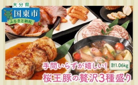 Ԃ炸!؂ґ3퐷/v1.06kg_1211R