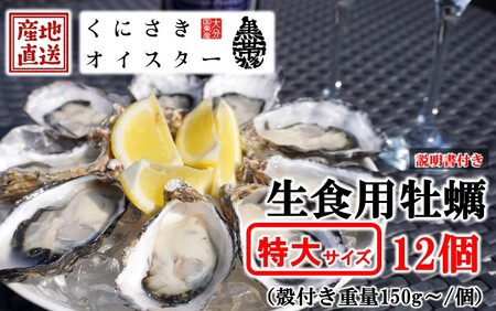 牡蠣 生食用 殻付き くにさきオイスター 特大サイズ12個(殻付き重量150g〜/個) カキ oyster 生牡蠣_2361R-1