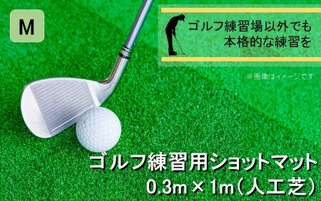 2376R_全国の有名ゴルフ場・練習場が多く採用の本格派 アイリスソーコー ショットマット M 0.3m×1m 310ターフ