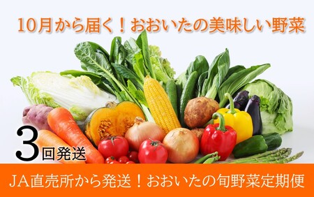 10炨͂!̏{ؒ/v3񔭑_2396R