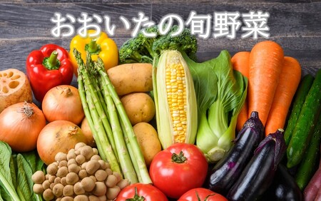 2398R_おおいたの旬野菜 10〜13品 詰め合わせ