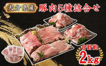 2445R_普段使いに便利なパック分け!大分県産豚肉5種詰合せ 合計約2kg