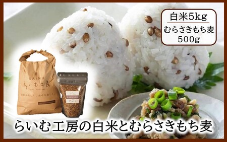 炢ލH[̂ނ炳500gƔ5kg_2506R