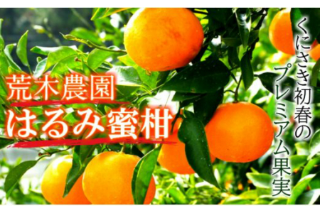 yߘa8N2甭zrؔ_̂͂4kg/eʓɊ̃v~A_1395R