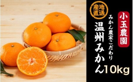 小玉農園/国東みかん10kg_1427Rのレビュー | ふるさと納税ランキング