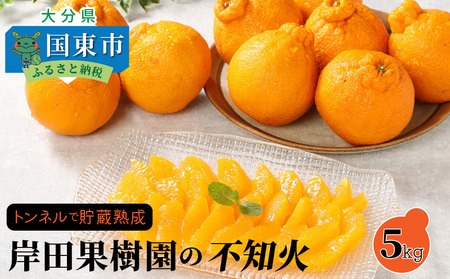 【先行予約】トンネルで貯蔵熟成/岸田果樹園の不知火 約5kg 令和8年2月より出荷開始_1440R